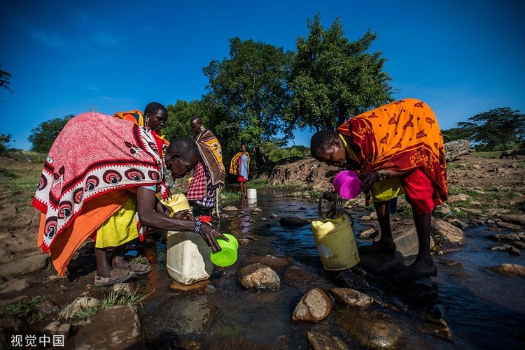 牛津大学为掠走东非马赛人文物送196头牛赔罪，马赛人：不够！