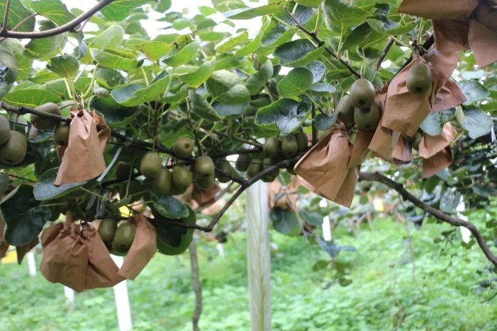 坐着高铁看凉都 | 乘高铁，一颗“红心”走天下