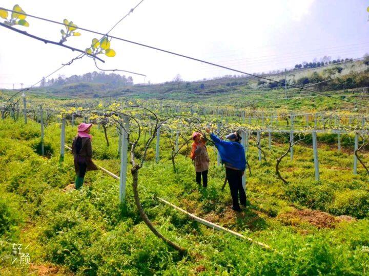 坐着高铁看凉都 | 乘高铁，一颗“红心”走天下