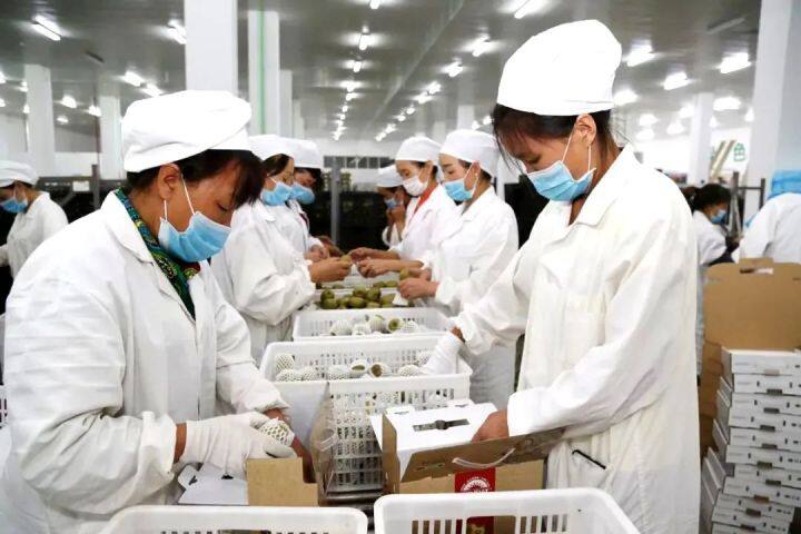 坐着高铁看凉都 | 乘高铁，一颗“红心”走天下