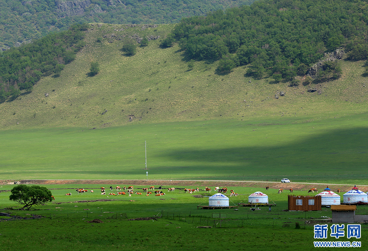 内蒙古自治区主席云峰图片