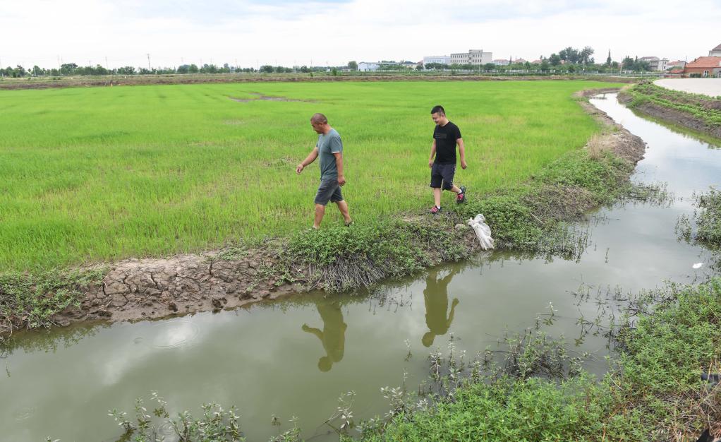 野水荒灘