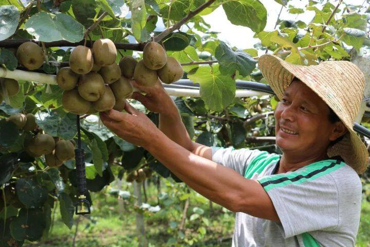 坐着高铁看凉都 | 乘高铁，一颗“红心”走天下