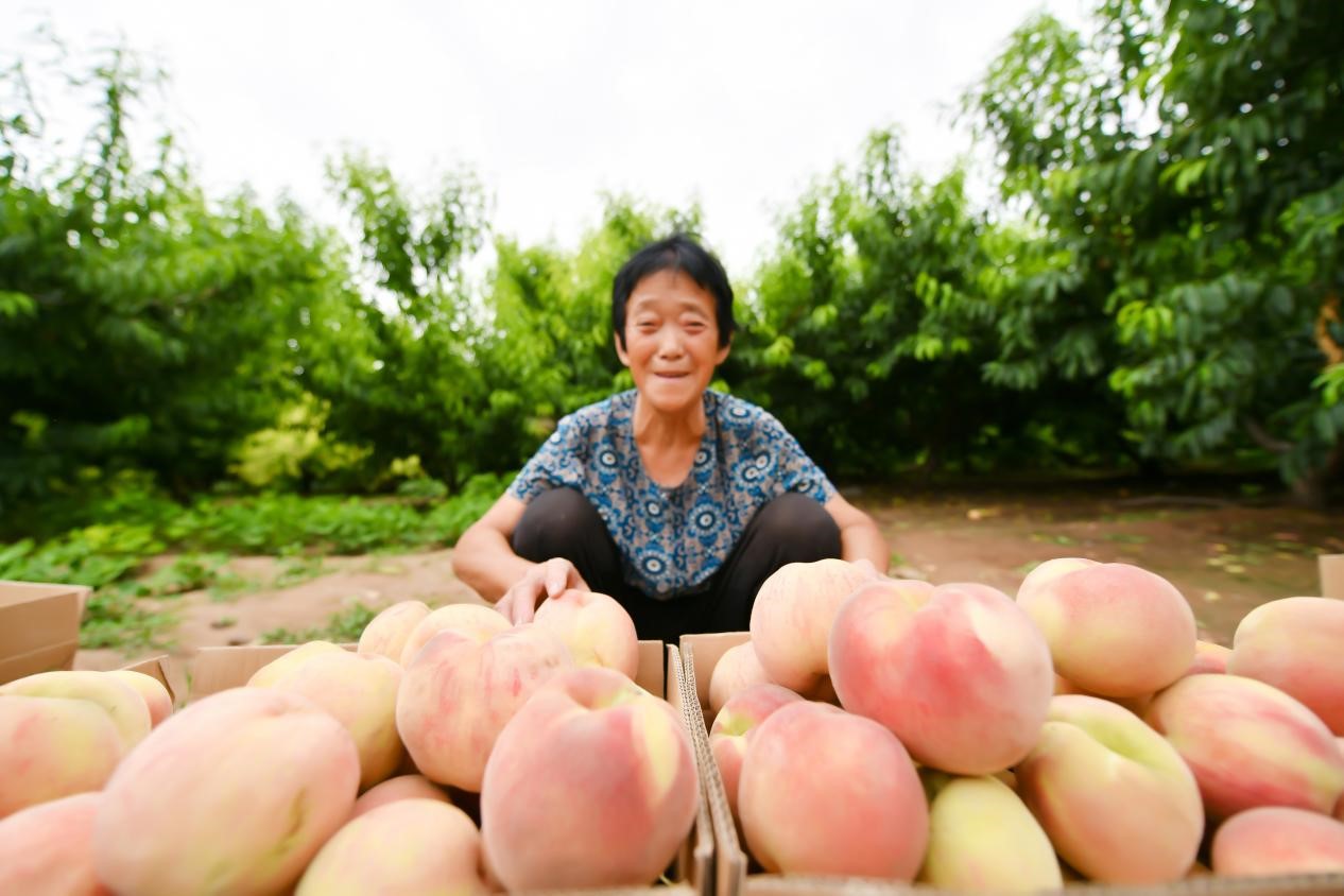 图片默认标题_fororder_3