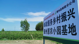 “惠農小園”助增收，拓寬鄉村振興路