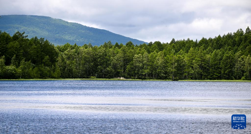 内蒙古阿尔山：夏日风光引游人