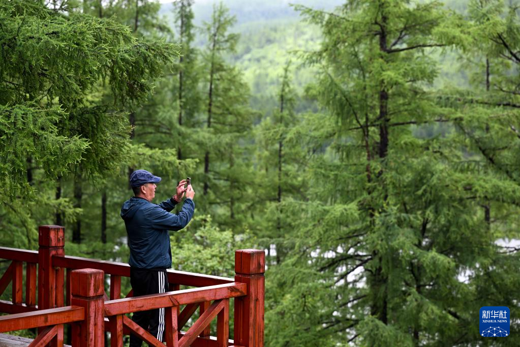 内蒙古阿尔山：夏日风光引游人