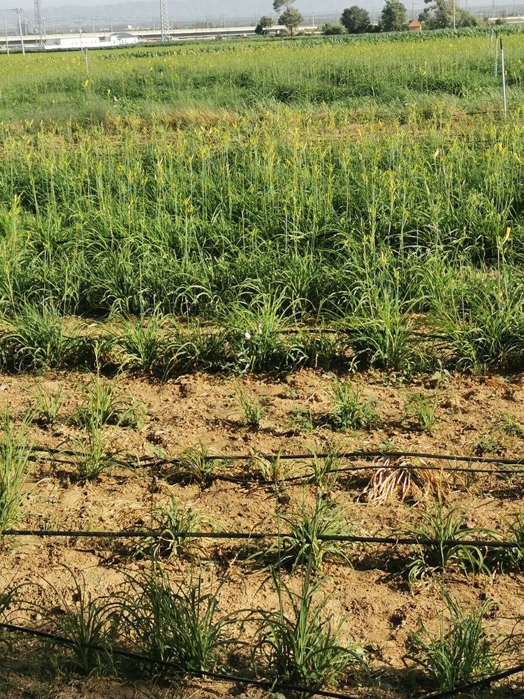 图片默认标题_fororder_3CACE738-F355-4EAC-A682-942BFE05CC5F