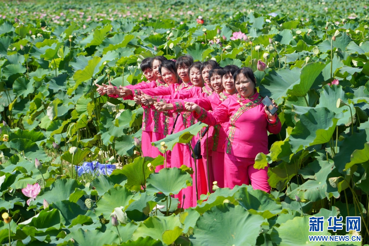 江西吉安：夏日荷花美 乡村展新颜_fororder_4