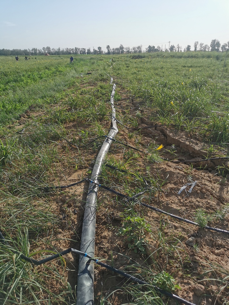 图片默认标题_fororder_F4C01FA6-DA6D-4C12-83F2-AC24F94EF31A