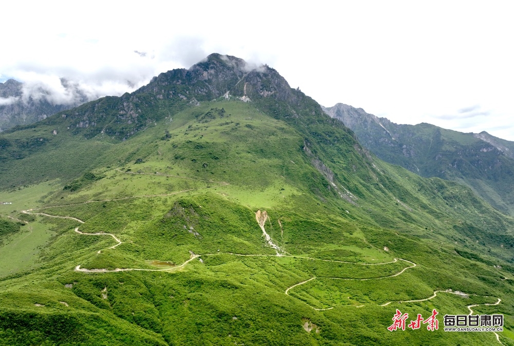 隴南文縣雄黃山：草甸如茵山峰險 牛羊散落似珍珠