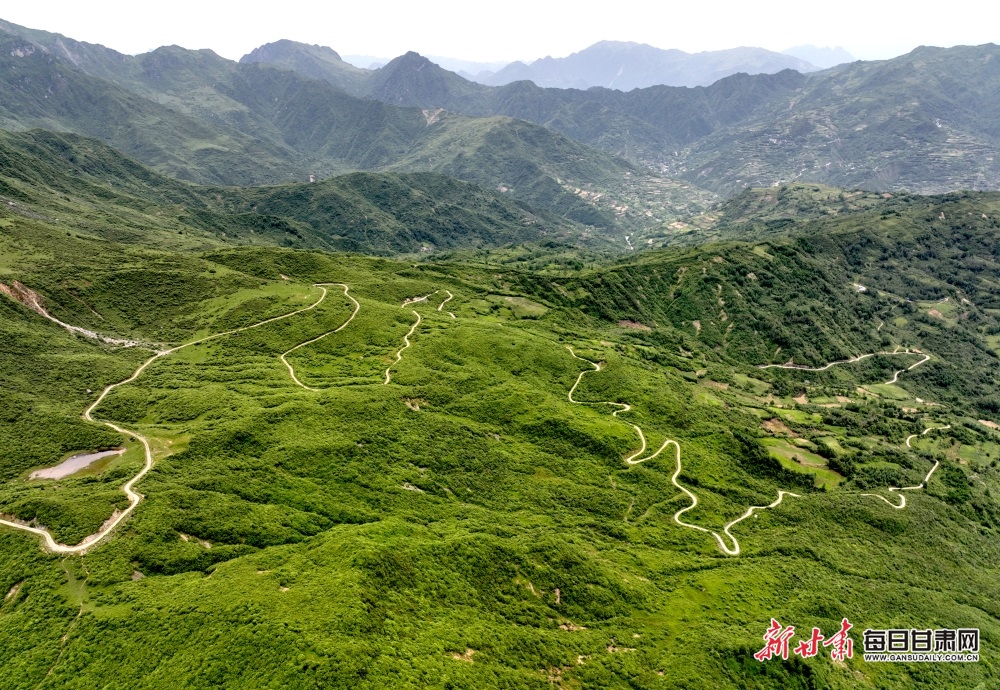 陇南文县雄黄山：草甸如茵山峰险 牛羊散落似珍珠_fororder_6