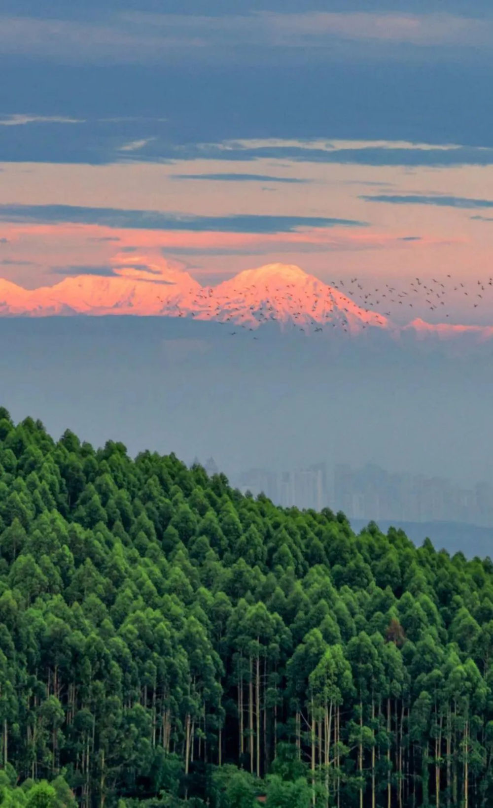 （转载）这里是成都龙泉驿！