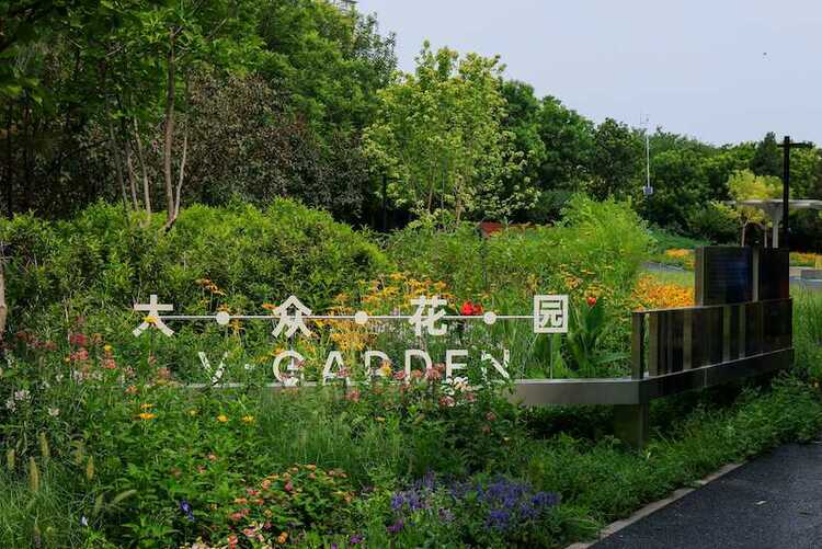 保护城市生物多样性 打造可持续社区 “大众花园”正式落成开园_fororder_image003