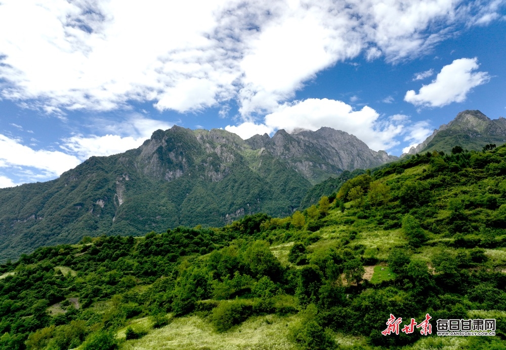 隴南文縣雄黃山：草甸如茵山峰險 牛羊散落似珍珠_fororder_3