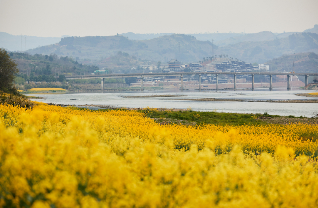 （转载）重走川渝古镇 找寻巴蜀韵味②丨水道上的古镇