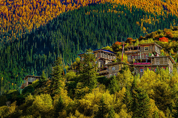 世界你好，我是阿坝｜壤塘县：建好“四好农村路”助力乡村振兴_fororder_秋天的壤塘-摄影-罗让东周