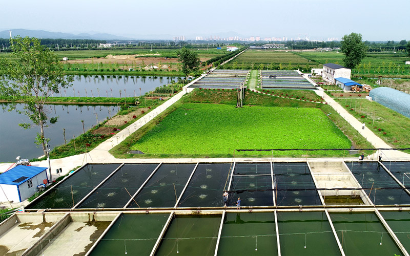 湖北老河口：壮大特色优势产业 促进乡村全面振兴