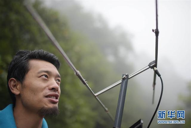 “探秘”大熊猫野化训练