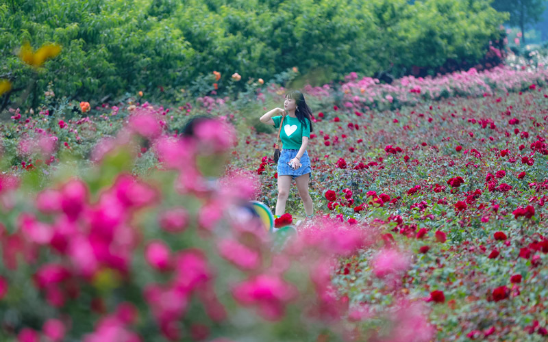 湖北老河口：壮大特色优势产业 促进乡村全面振兴