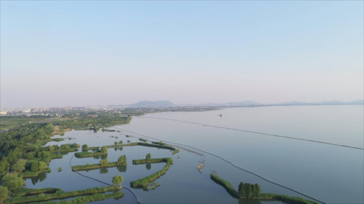 見證“八八戰略”指引之路︱一湖藍藻的消亡史,沿岸城市合奏《太湖美》_fororder_1689043612946_64acc29c32e8f50001531e72