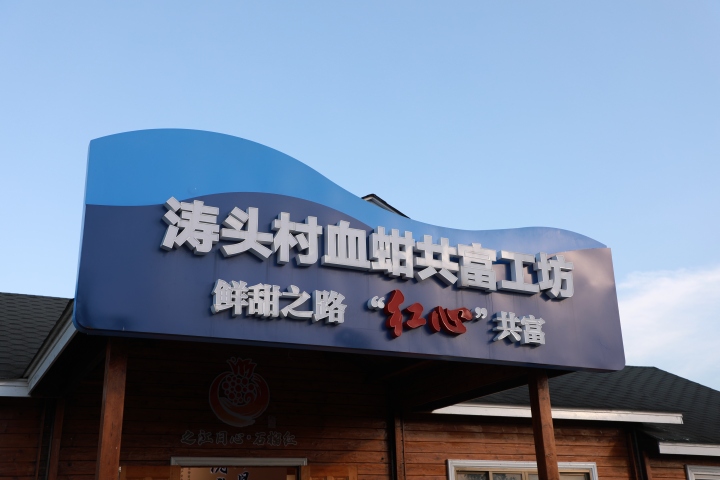 乡村之美丨连续三年上榜全国“超亿元村” 台州三门这个村子是怎么做到的_fororder_1689039563185_64acb2cb32e8f50001531822