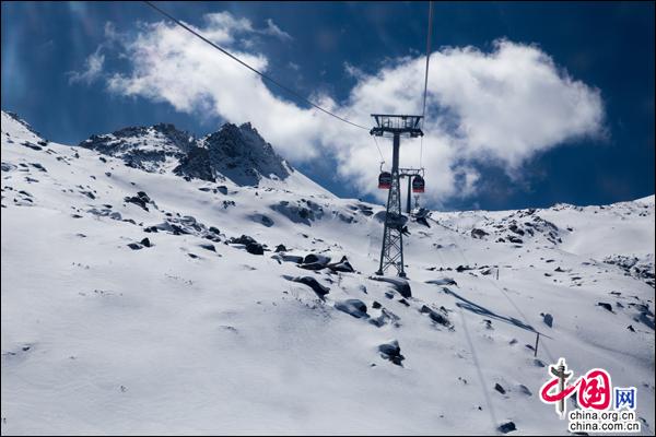 雪映桃花别样红，达古冰山初春美景漫天花舞
