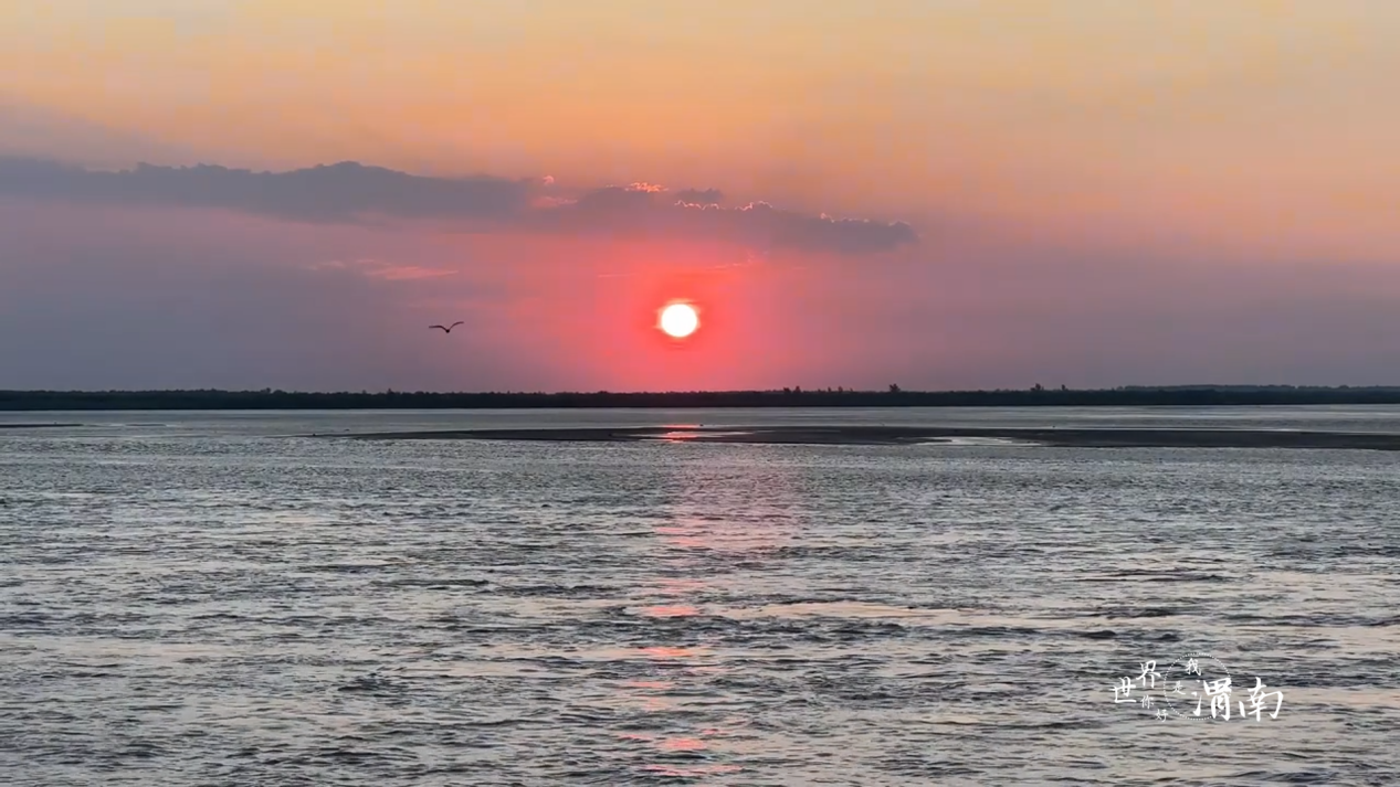 Charming陕西丨“大河流金”！黄河潼关段上演“长河落日圆”_fororder_图片4