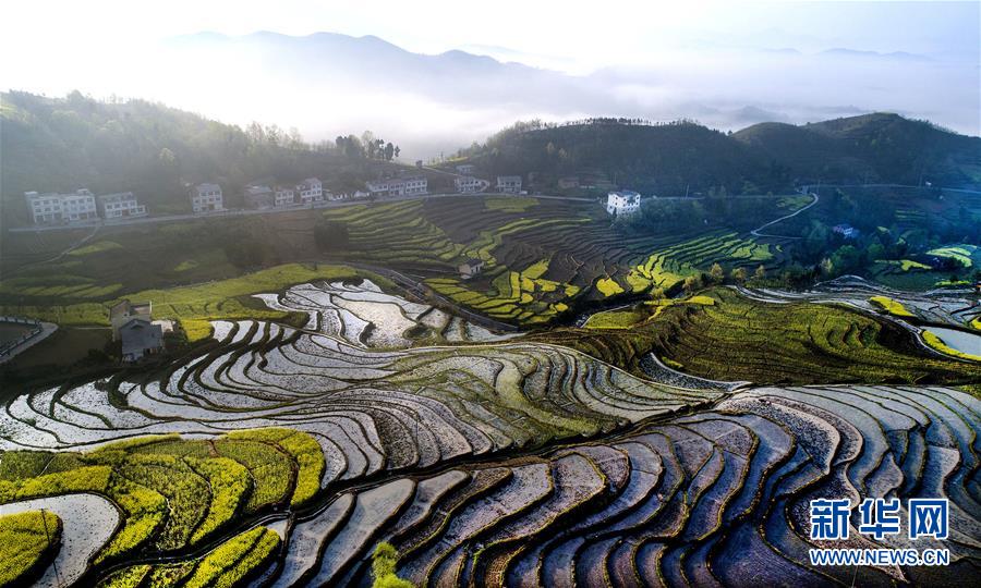 陕南凤堰古梯田 花水相映展画卷
