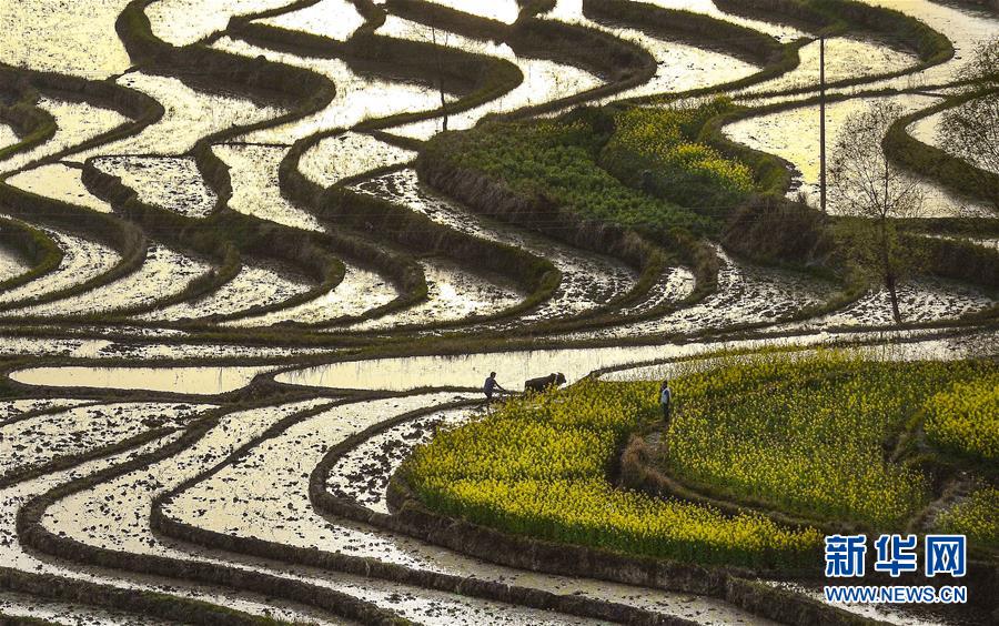 陕南凤堰古梯田 花水相映展画卷