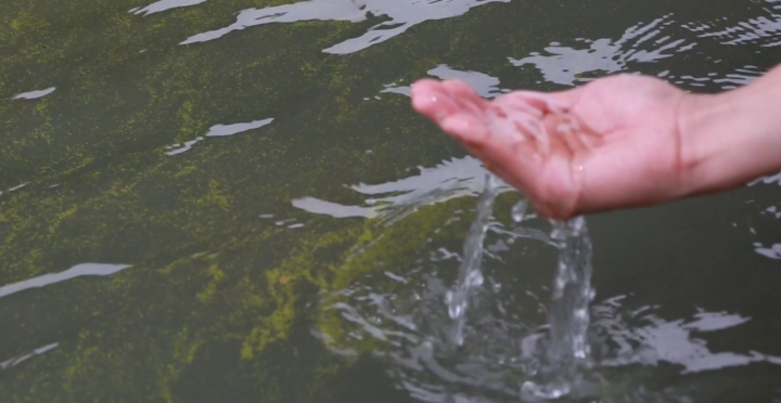 見證“八八戰略”指引之路︱一湖藍藻的消亡史,沿岸城市合奏《太湖美》_fororder_1689043611434_64acc29b32e8f50001531e67