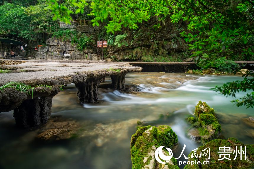 贵州荔波：“清凉游”受追捧
