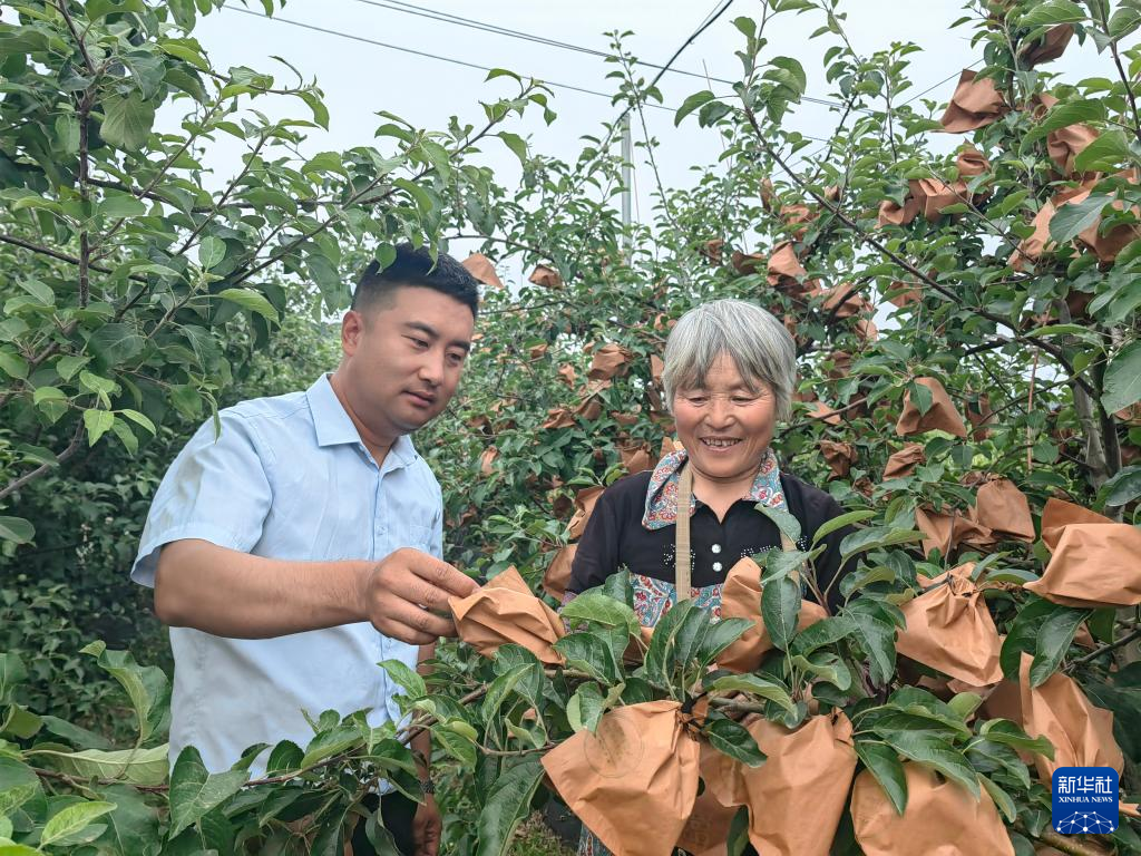 “山東屋脊”沂源探索全鏈條“鄉村振興策”_fororder_3