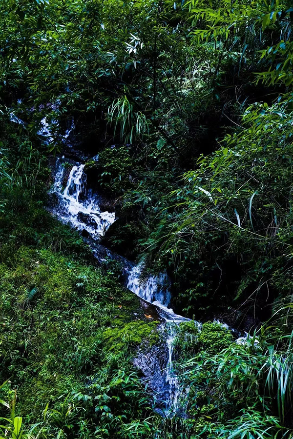 好山好水好凉快丨眉山丹棱黄金峡寻凉游玩好去处