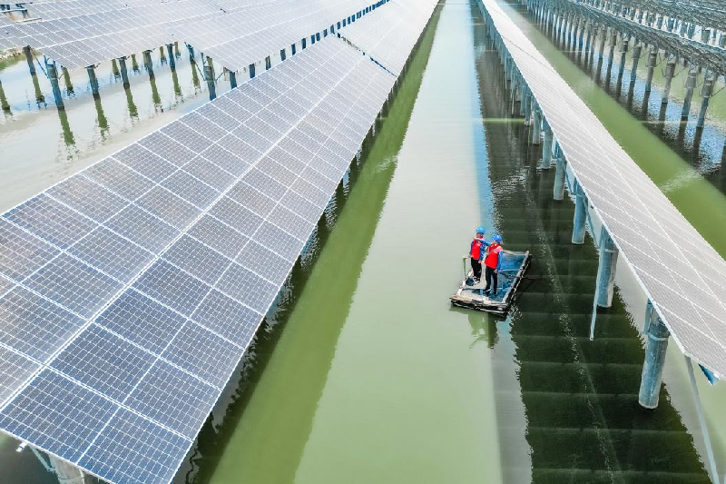 В городском уезде Лайчжоу города Яньтай «взаимодополняемость рыболовства и солнечной энергии» способствует «зеленому» развитию_fororder_图片7