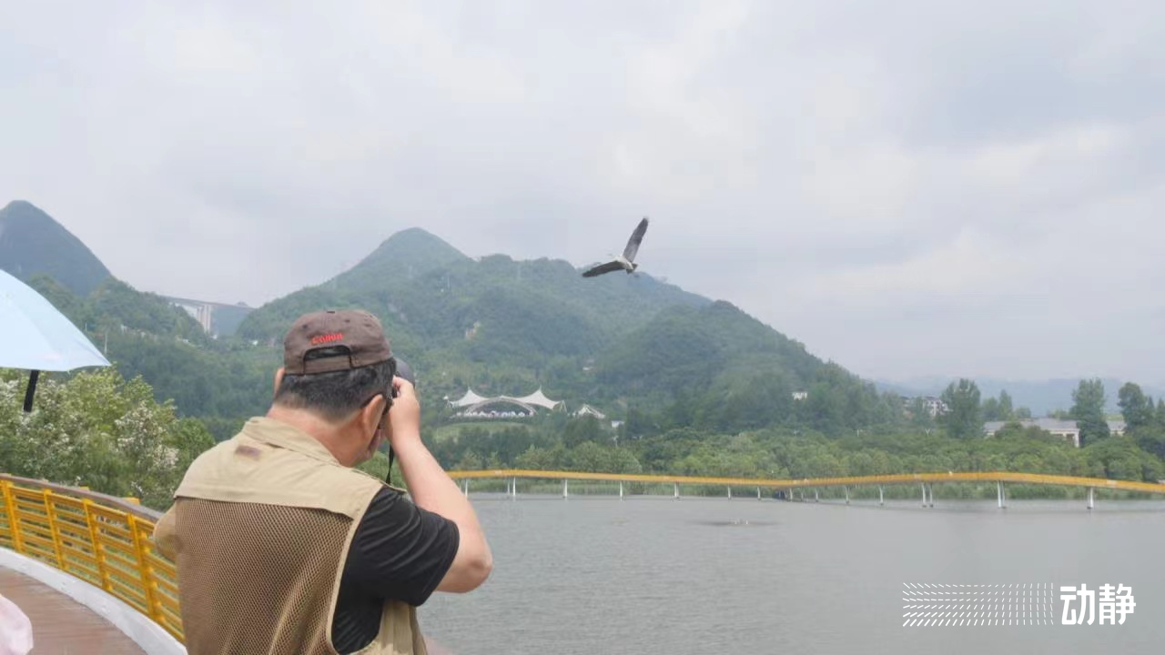 “煤都”到“涼都” 六盤水跑出轉型加速度