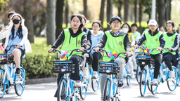 2022年上海绿色交通发展年度报告出炉