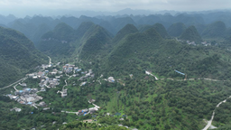 广西凤山：强化科学管护 核桃树硕果累累