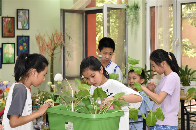 石家荘市裕華區の小學校6校が夏休み期間の學童保育を開始_fororder_圖片5