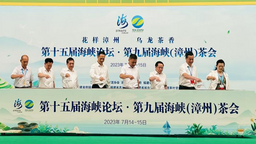 第九届海峡（漳州）茶会正式开幕