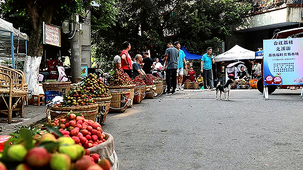 泸州：七月合江果飘香 荔枝成熟开市忙_fororder_设置荔枝临时交易市场（合江县融媒体中心供图）