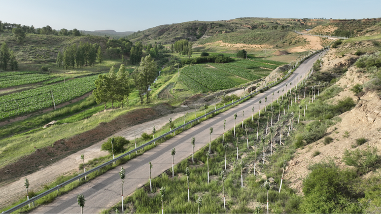 榆林府谷县大昌汗镇：提升道路“颜值” 扮靓沿线风景_fororder_图片5