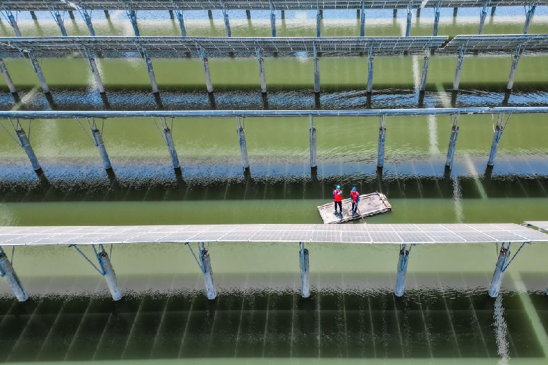 В городском уезде Лайчжоу города Яньтай «взаимодополняемость рыболовства и солнечной энергии» способствует «зеленому» развитию_fororder_图片8