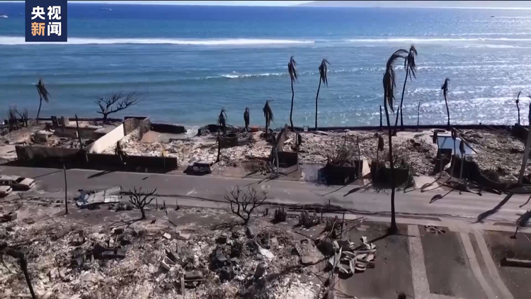 美国夏威夷毛伊岛大火亲历者：拉海纳已经不复存在了