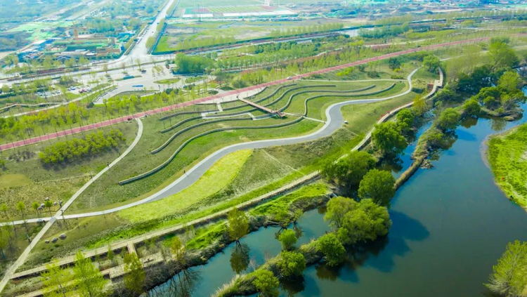 “灃”水寶地賡續千年生機_fororder_圖片1