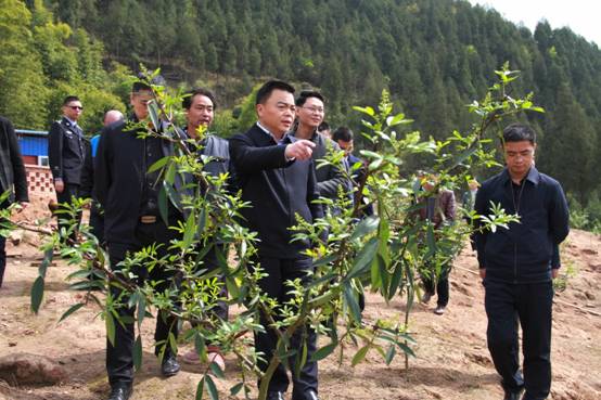 达州日报网消息 3月21日,达州市委常委,达川区委书记许国斌带领区交通