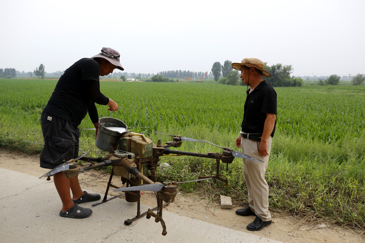 图片默认标题_fororder_满城区农业农村局技术人员指导雨后田间管理 摄影 田素然