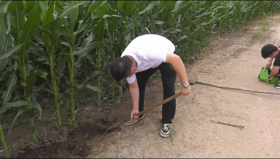 哈尔滨师范大学乡村振兴联合实践团与依兰县团委、达连河镇新胜村开展“三色”绘美丽乡村系列实践活动_fororder_图片11