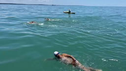 泉州惠安：经过9小时23分钟 三“泳”士成功横渡琼州海峡