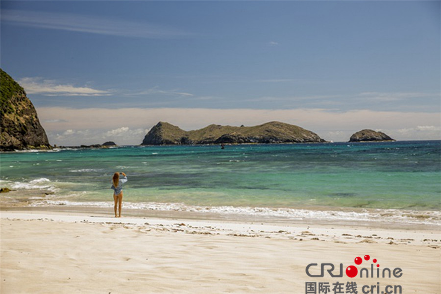 鲨滩今日震撼公映五大看点揭秘惊险逃生巨制